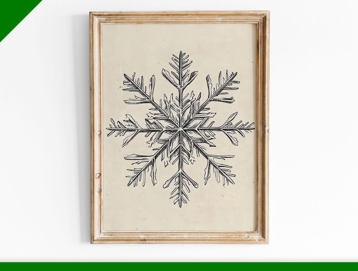 Delicate Pencil Snowflake Sketch Vintage Botanical Winter Wall Art
