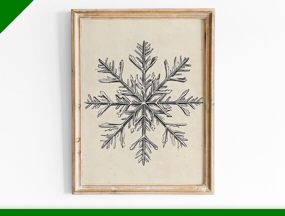 Delicate Pencil Snowflake Sketch Vintage Botanical Winter Wall Art