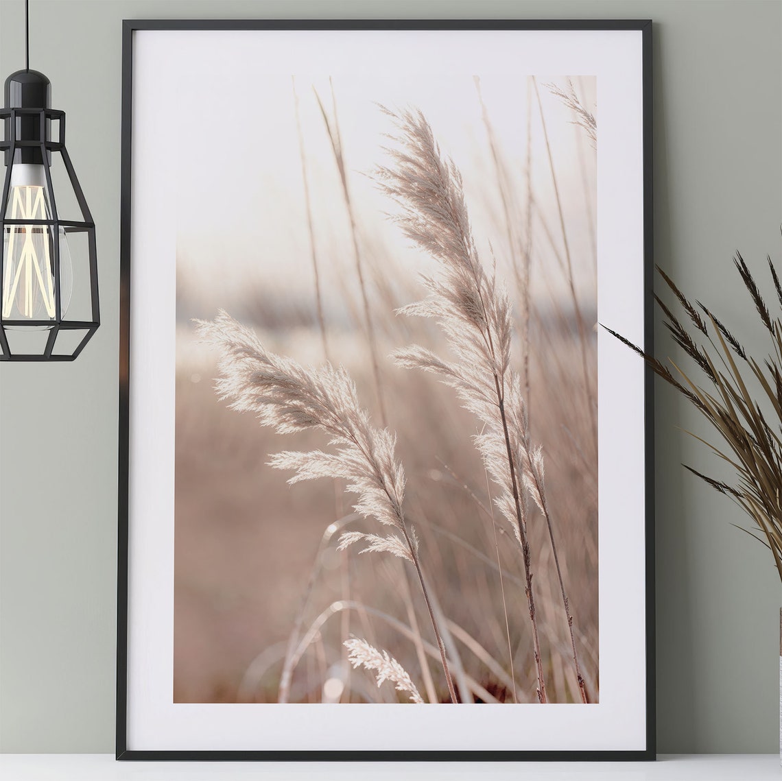 Backlit Pampas Grass Neutral Botanical Photography Art Print - Image 3