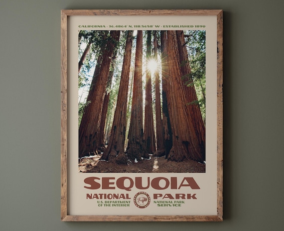 Sequoia National Park California Giant Forest Vintage Photo Travel Poster