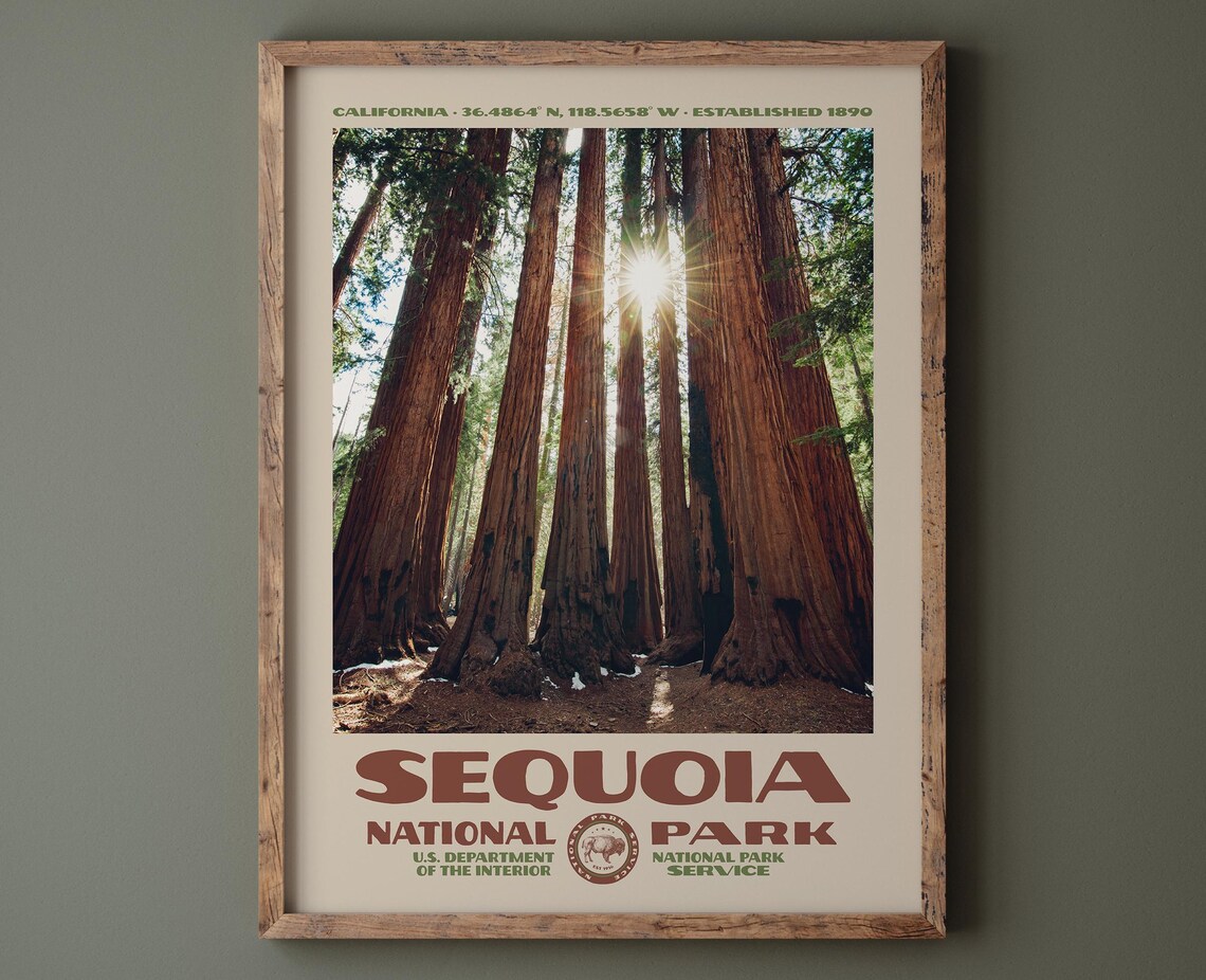 Sequoia National Park California Giant Forest Vintage Photo Travel Poster