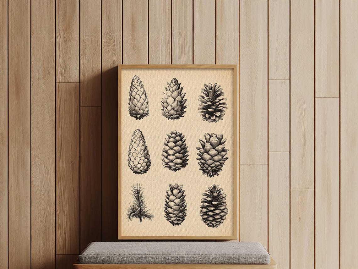 Nine Pinecones Botanical Ink Study Vintage Nature Illustration Poster - Image 2