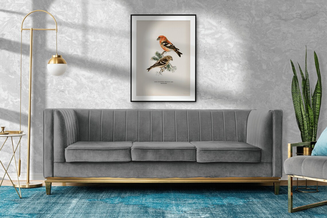 Two Barred Crossbill Vintage Nature Art Print - Image 2
