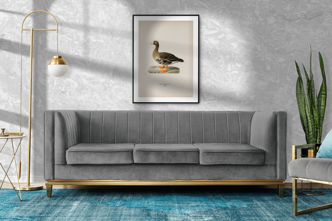 Greater White-Fronted Goose Vintage Nature Art Print - Image 2
