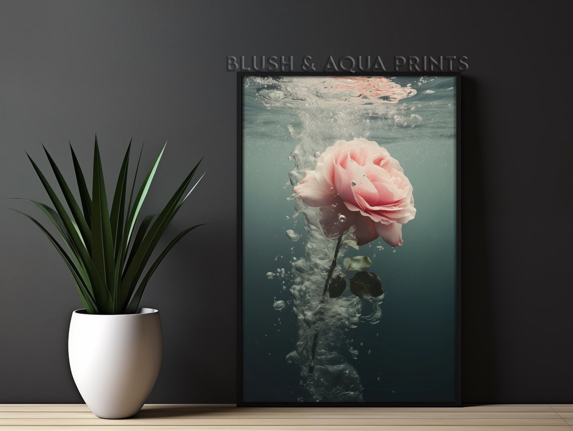 Blush Pink Rose Submerged Underwater Dramatic Botanical Art Poster