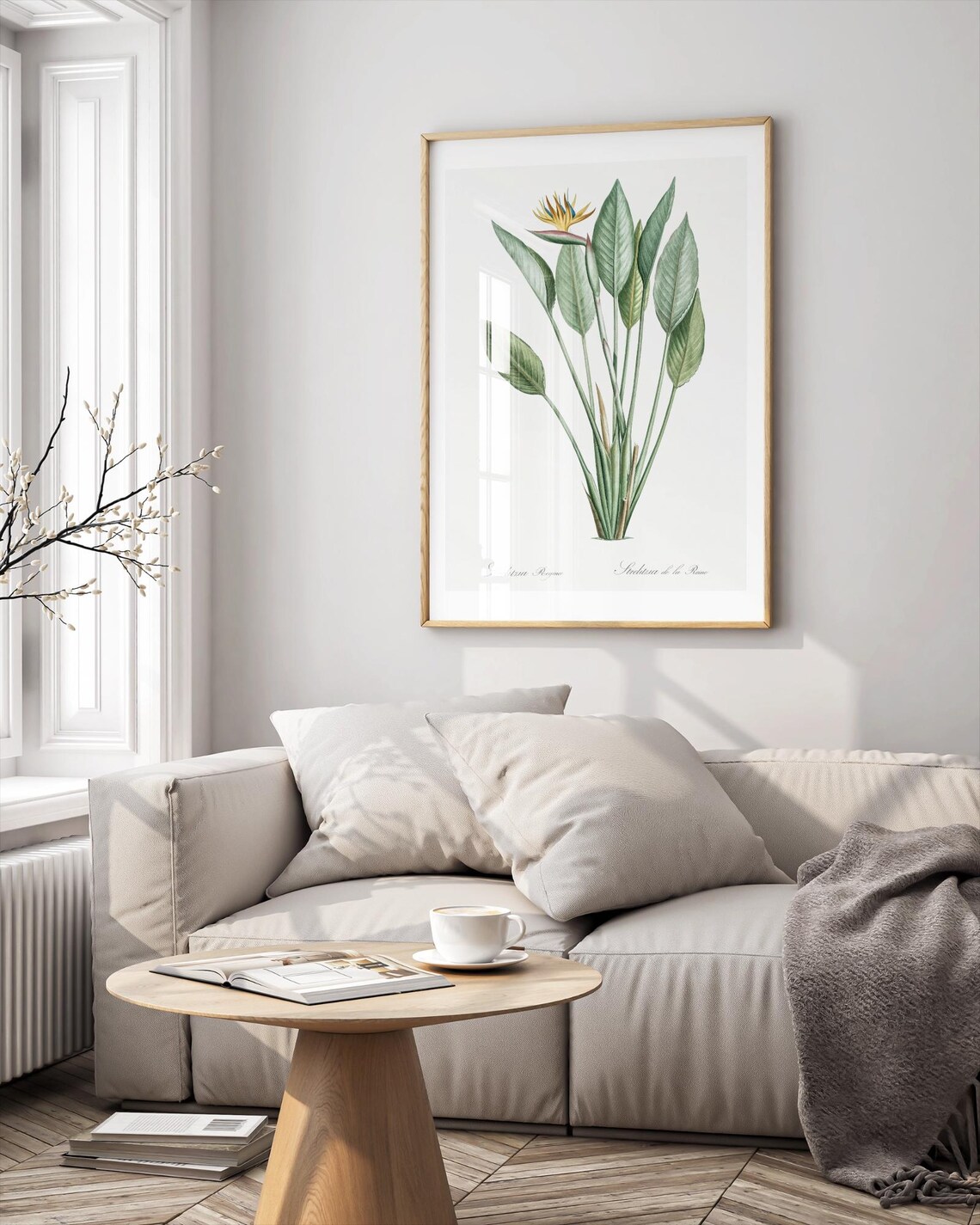 Vintage Bird Of Paradise Botanical Art, Redout - Image 3