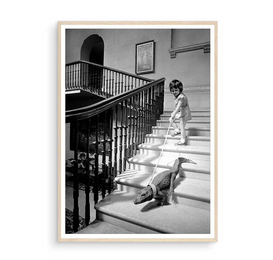 Little Girl Leading Crocodile on Stairs Vintage Photo Poster