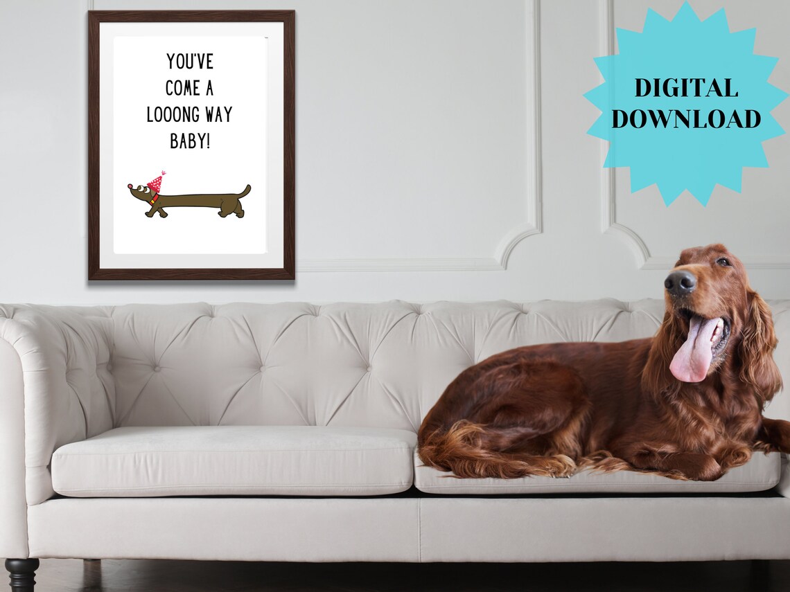 Youve Come A Looong Way Baby Funny Dachshund Party Hat Quote Poster