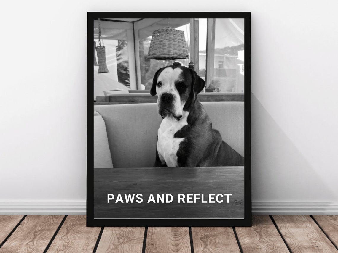 Pet Pun Print Fun Travel Quote Print Wall Art Quote Sassy Holiday Gift For Dog Lovers Cute Dog Photography Sassy Strays Photo - Image 3