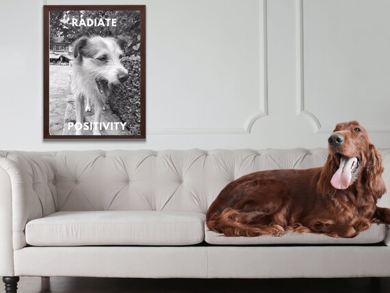 Radiate Positivity Dog Smiling Wall Art Sassy Dog Gift Love Cute Dog Photo Wall Animal Photo Gift Dog Mom Love Positive Quote Wall