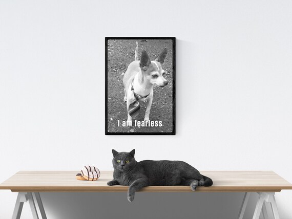 I Am Fearless Print Dog Affirmation Wall Art Cute Dog Photography Sassy Dog Gift Lover Sassy Strays