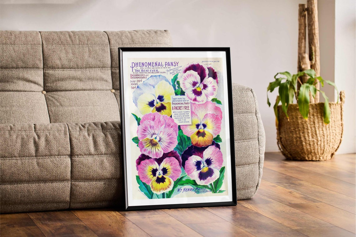 Phenomenal Pansy Vintage Seed Packet Advertisement Botanical Poster - Image 3