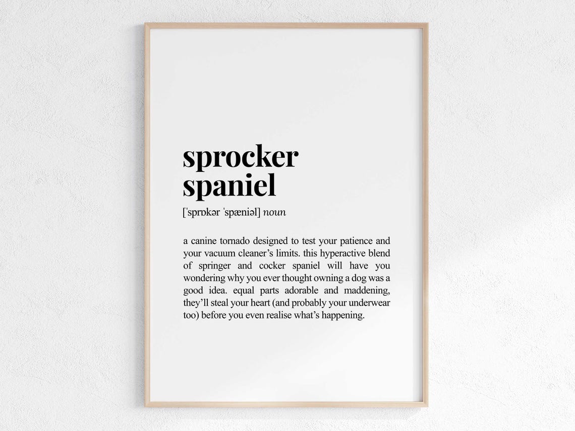 Sprocker Spaniel Definition Funny Dog Lover Dictionary Poster