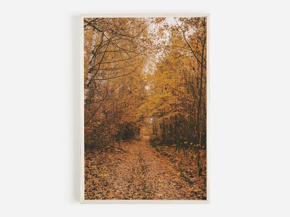Leaf Covered Forest Trail Golden Autumn Foliage Nature Photo Poster