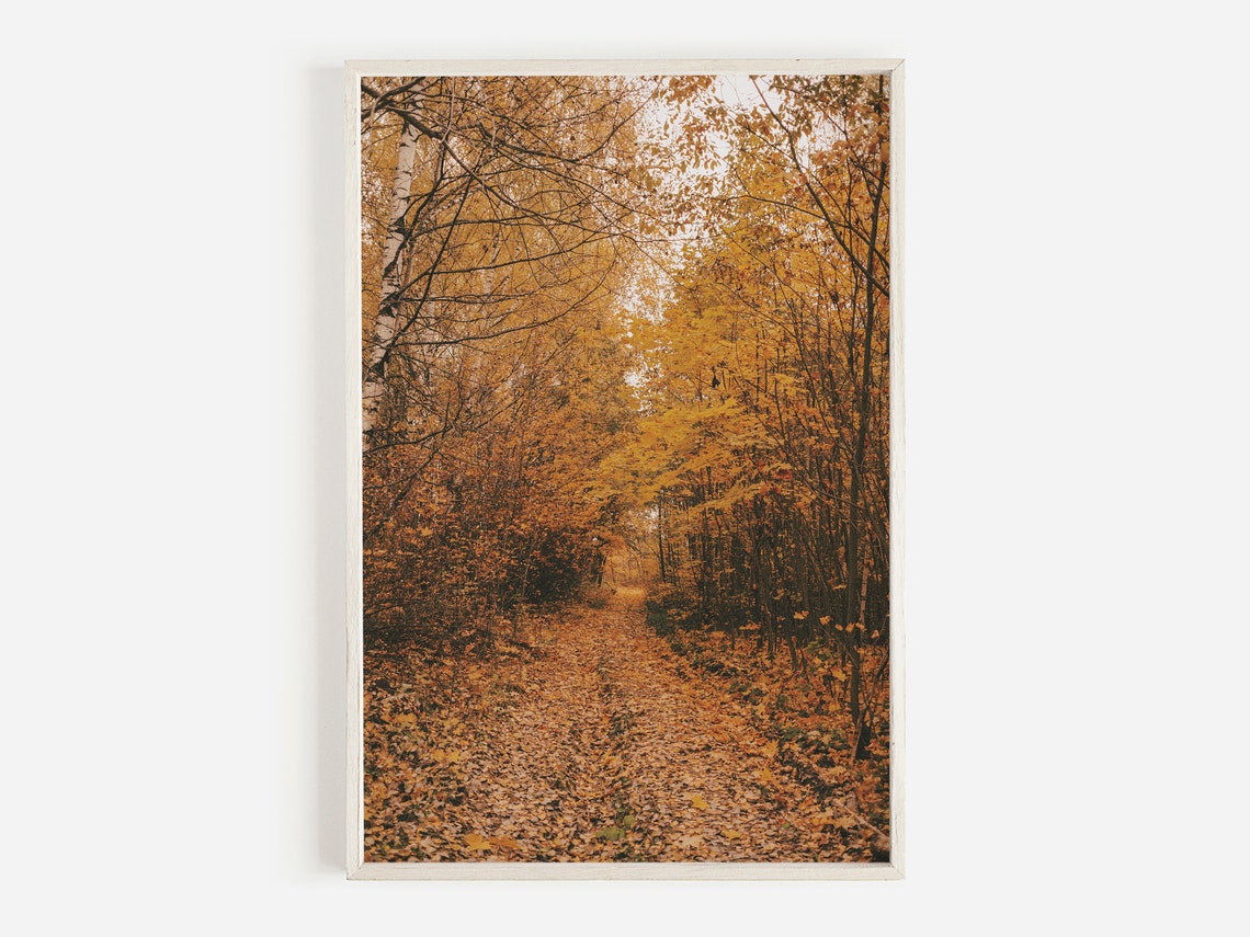 Leaf Covered Forest Trail Golden Autumn Foliage Nature Photo Poster
