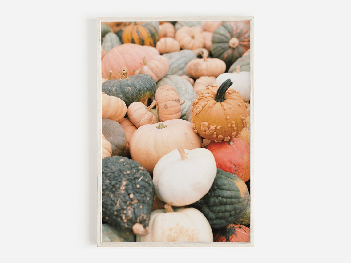 Pile Of Pumpkins Print Autumn Pumpkin Harvest Bumpy Art Farmhouse Thanksgiving Rustic Home Decor