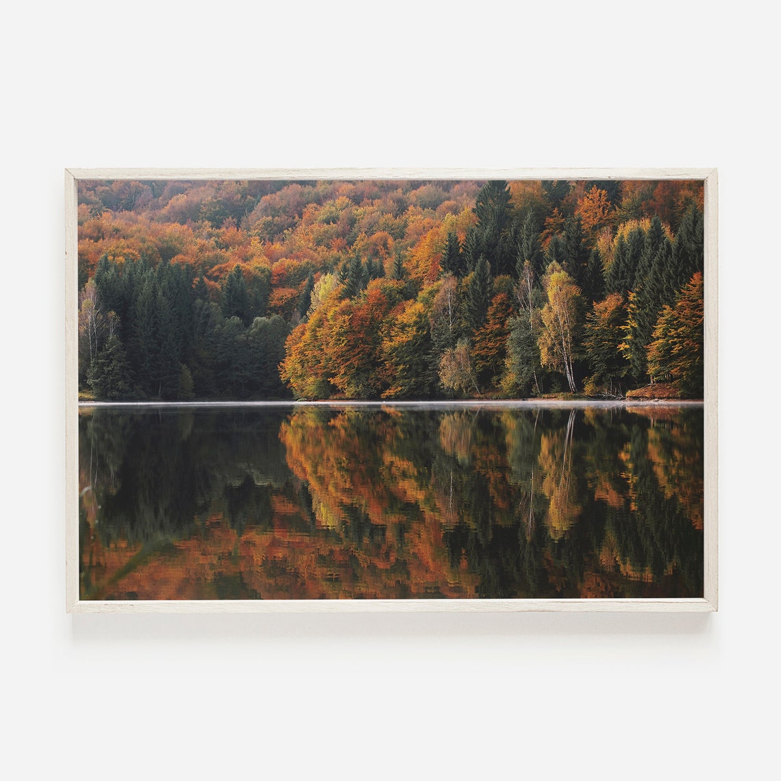 Autumn Forest Reflection on Still Lake Photography Landscape Poster