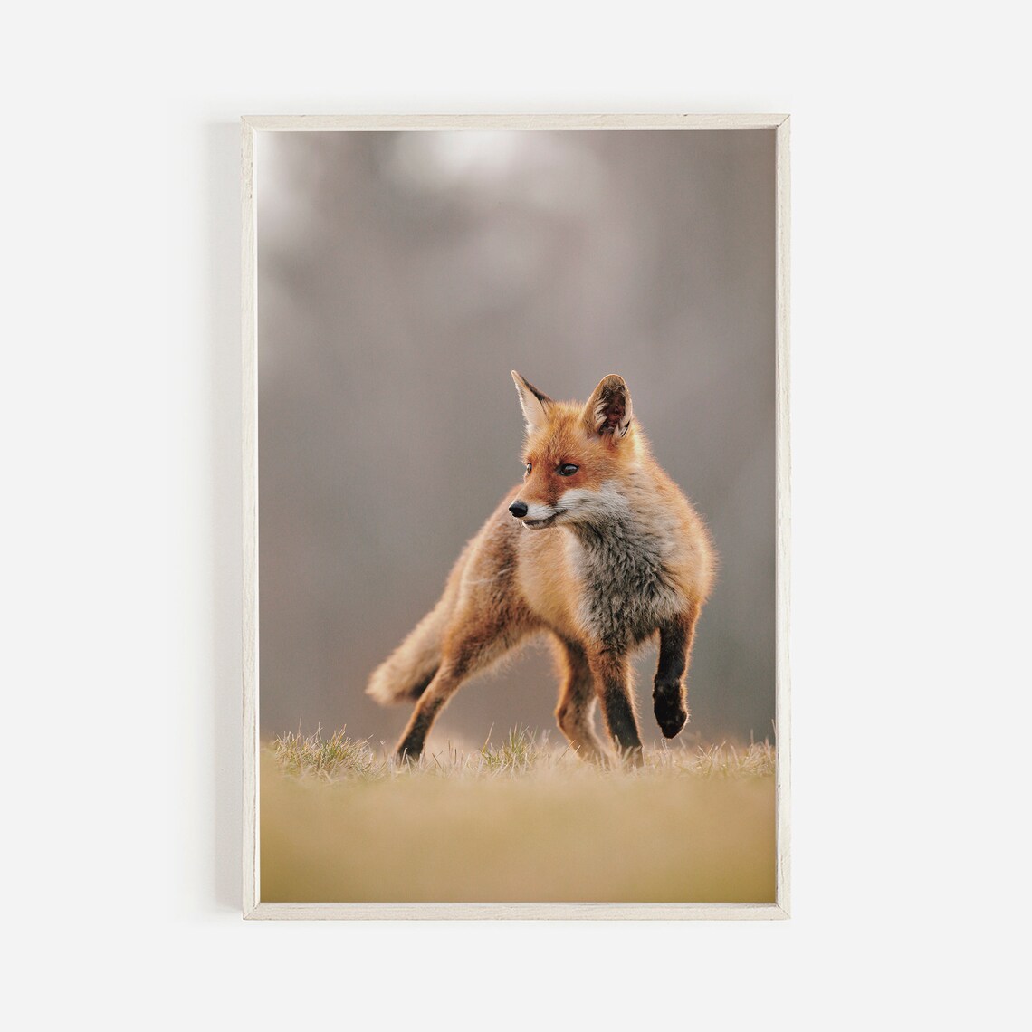 Fox Scenery Print, Oregon Wildlife Rustic Nature Decor