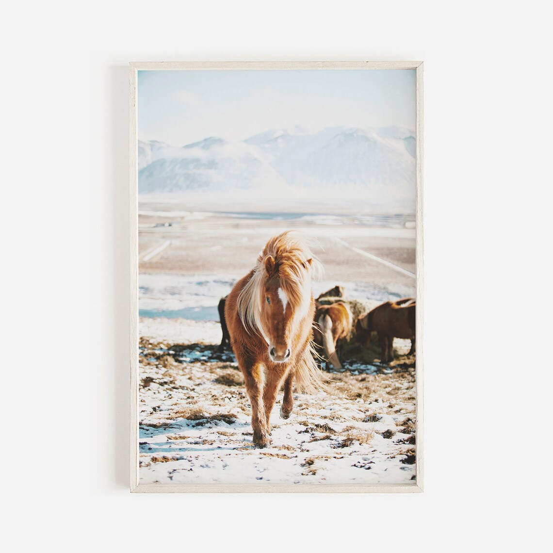 Snowy Icelandic Horse Herd Poster, Iceland Wall Art