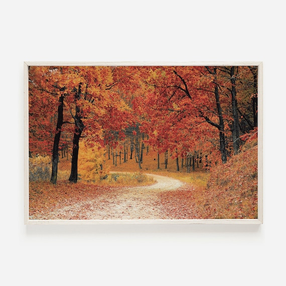 Autumn Leaf Covered Winding Path Through Glowing Forest Photo Poster