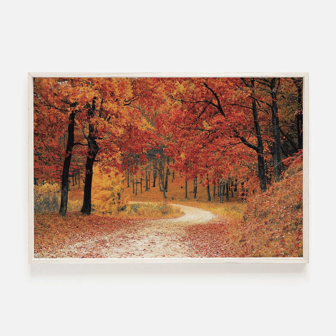 Autumn Leaf Covered Winding Path Through Glowing Forest Photo Poster