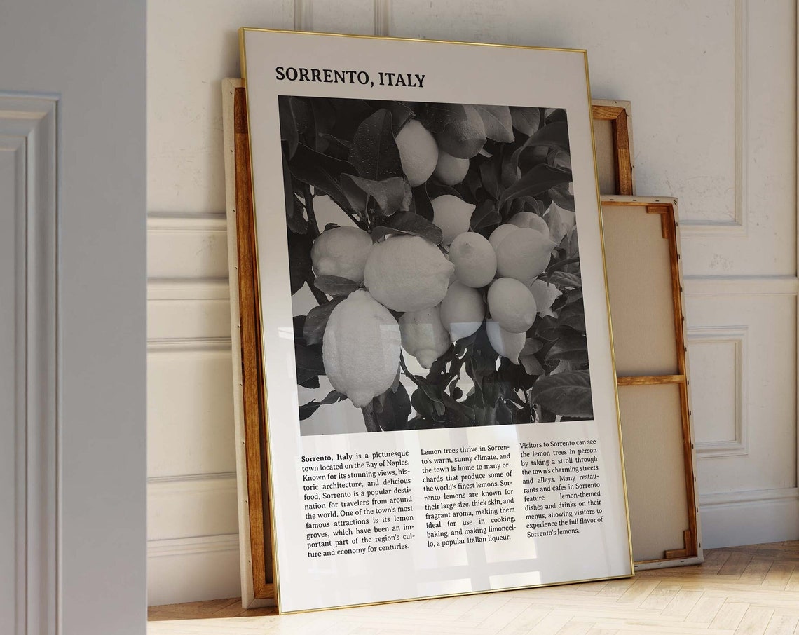 Sorrento Italy Lemon Groves Black White Travel Photography Poster