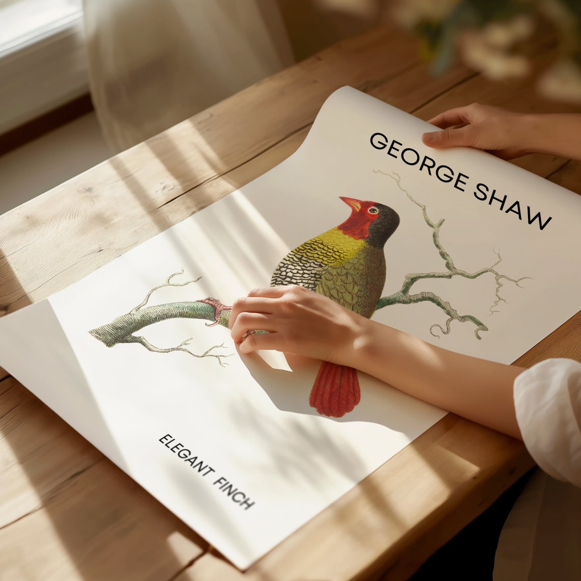 Elegant Finch Poster Bird Wall Art Vintage Bird Print Gift For Grandma Famous Art Prints Living Room Wall Art Garden Birds - Image 2