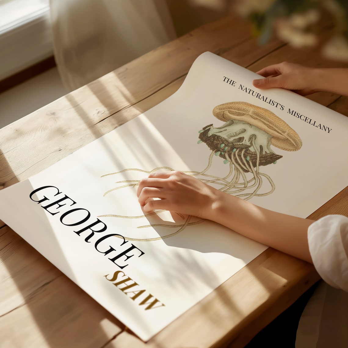 George Shaw Antique Crown Jellyfish Illustration Exhibition Poster - Image 2