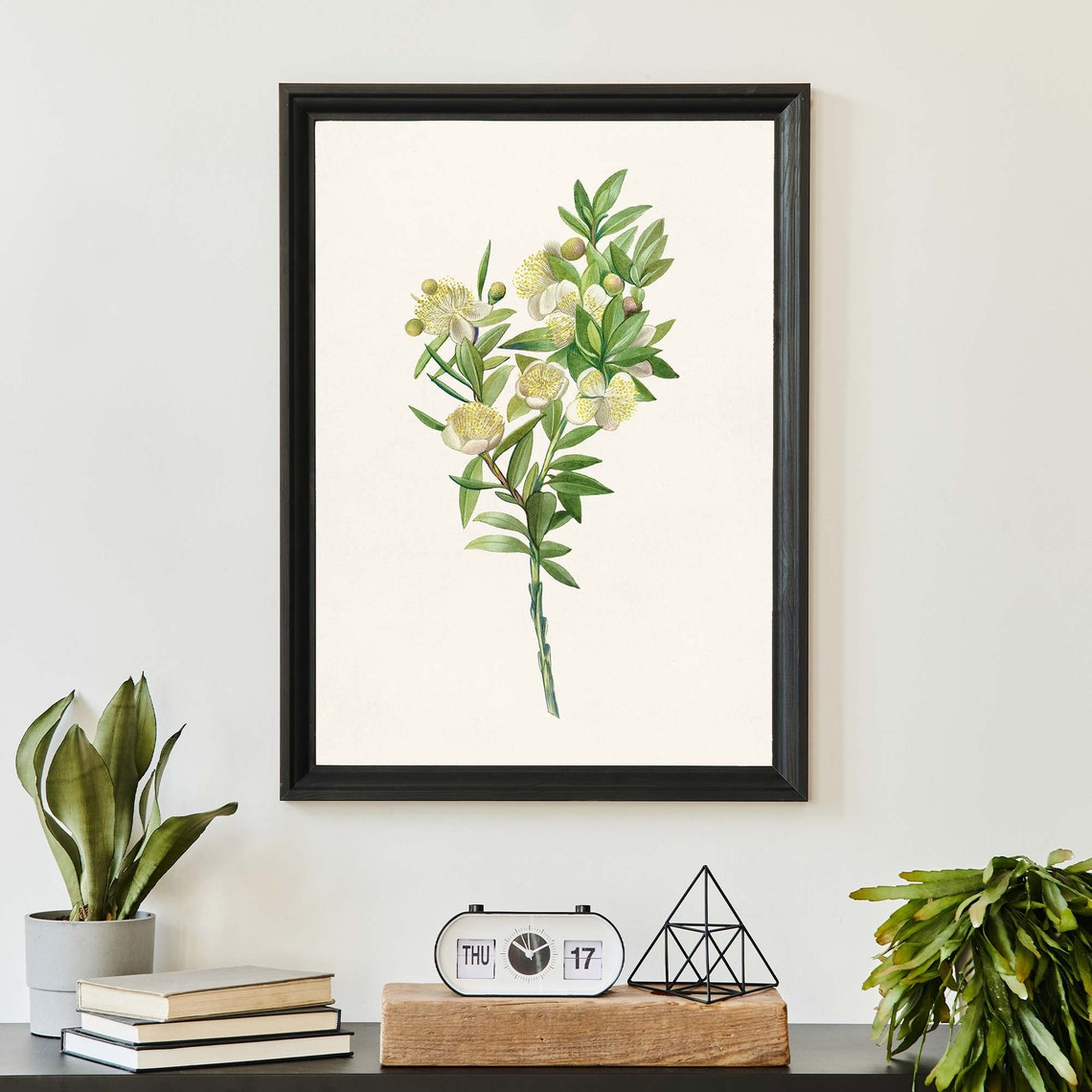 Vintage White Myrtle Flower Botanical Illustration Floral Art Poster - Image 2