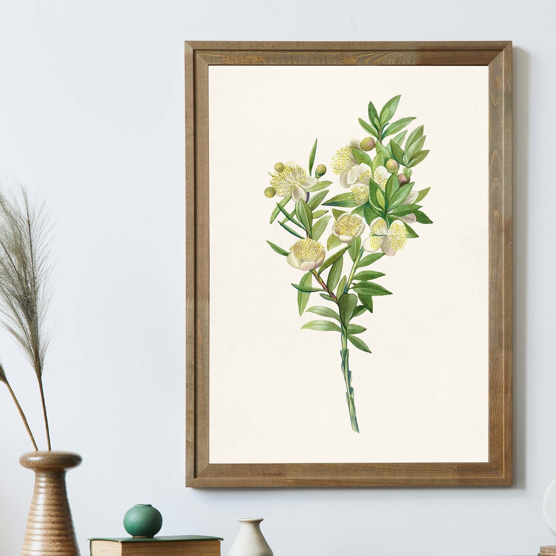 Vintage White Myrtle Flower Botanical Illustration Floral Art Poster - Image 4