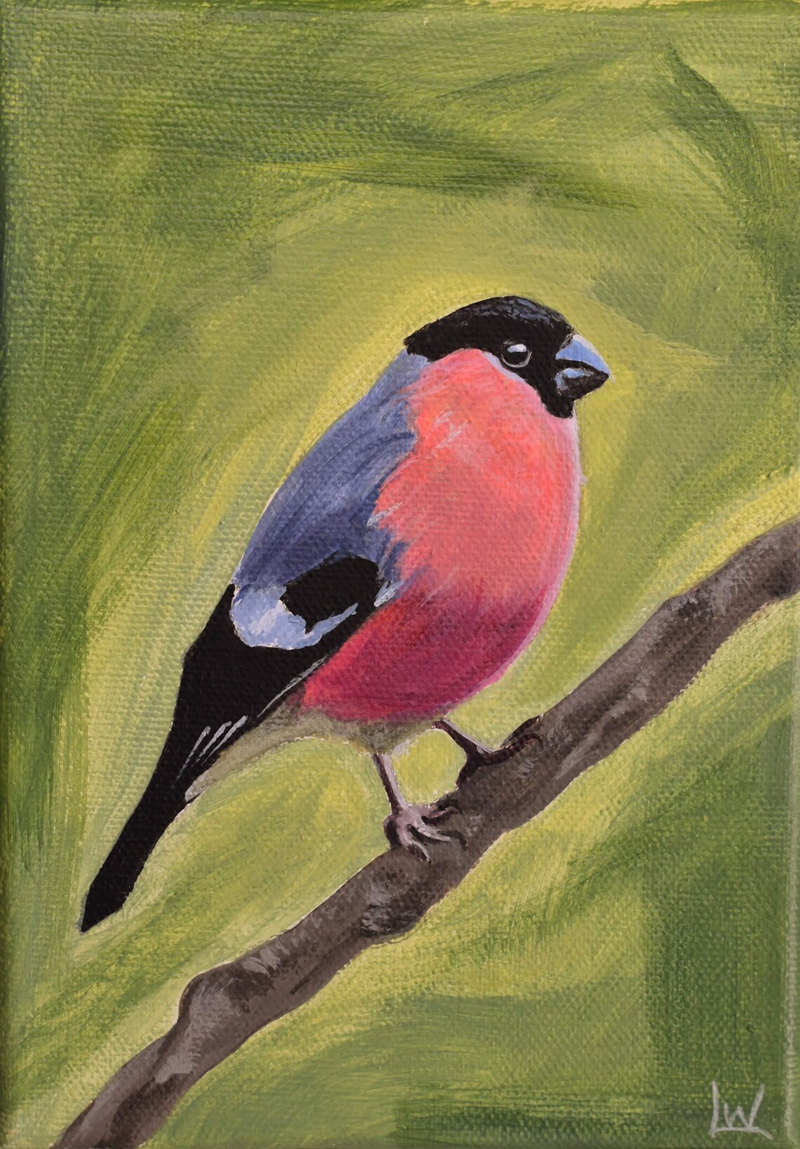 Eurasian Bullfinch on Branch Pink Breast Finch Bird Art Poster