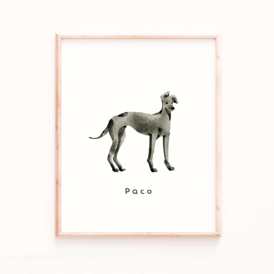 Paco Italian Greyhound Minimal Watercolor Dog Portrait Wall Art Print