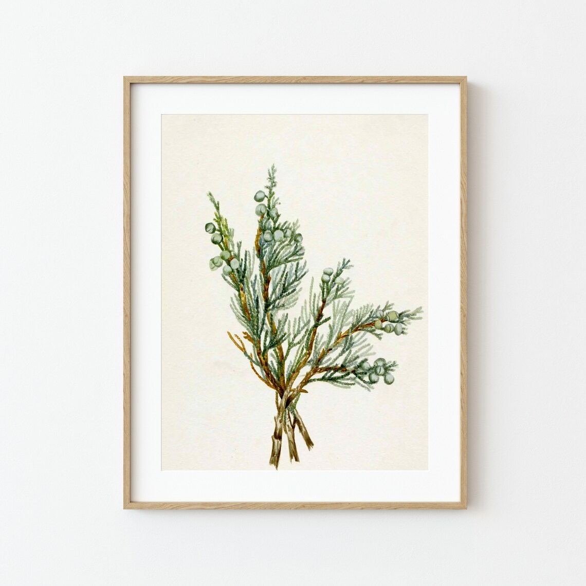 Juniper Branch Vintage Christmas Tree Art Print - Image 3