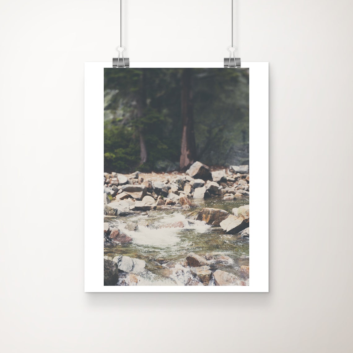 Rocky Forest Stream Pine Wilderness Mountain Creek Photo Poster