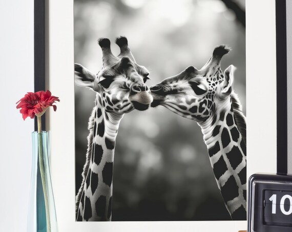 Cute Giraffe Couple Kissing Animal Poster