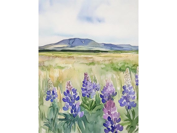 Lupine Painting Iceland Watercolor Art Print