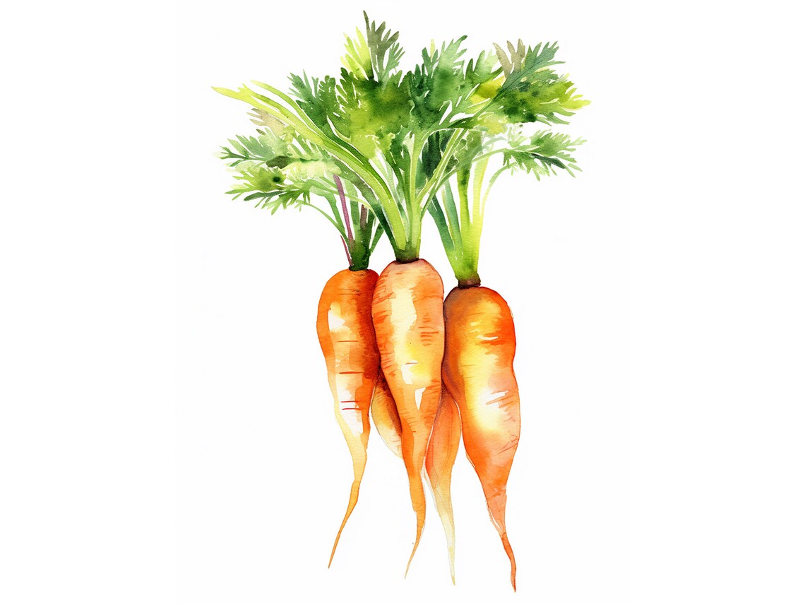 Carrot Watercolor Art Print, Kitchen Wall Decor