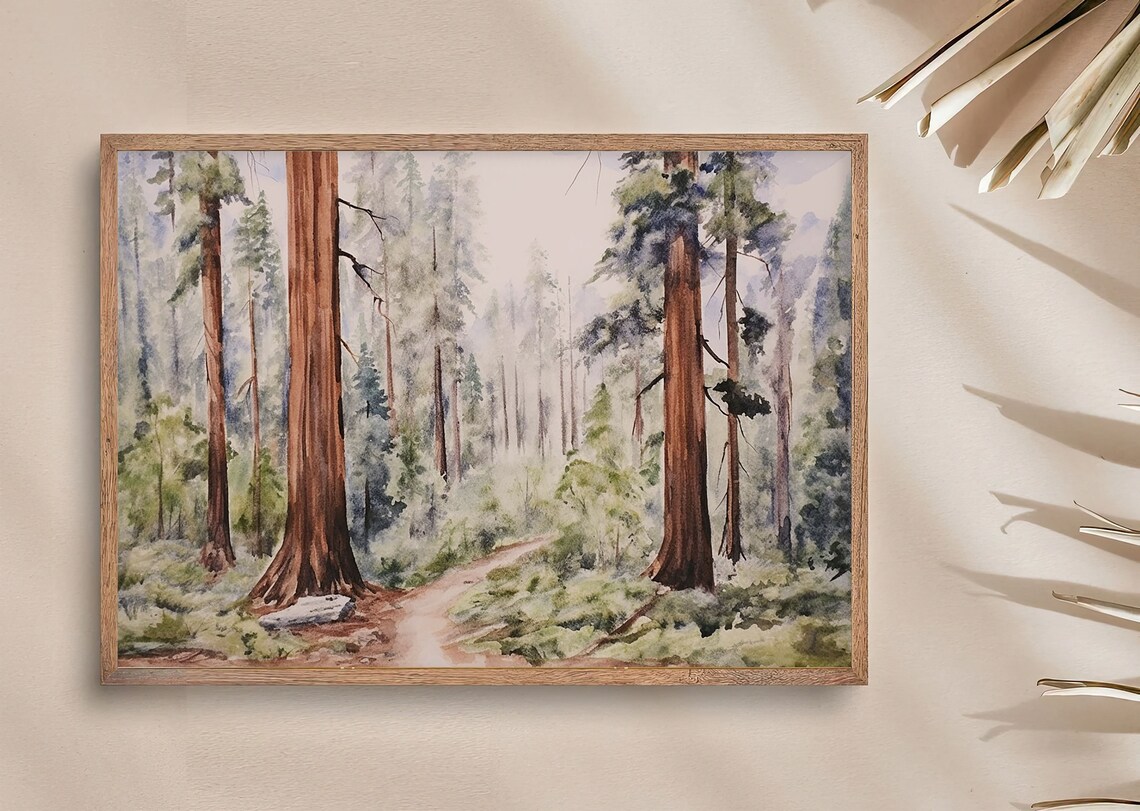 Sequoia Painting National Park Watercolor Art Print - Image 4