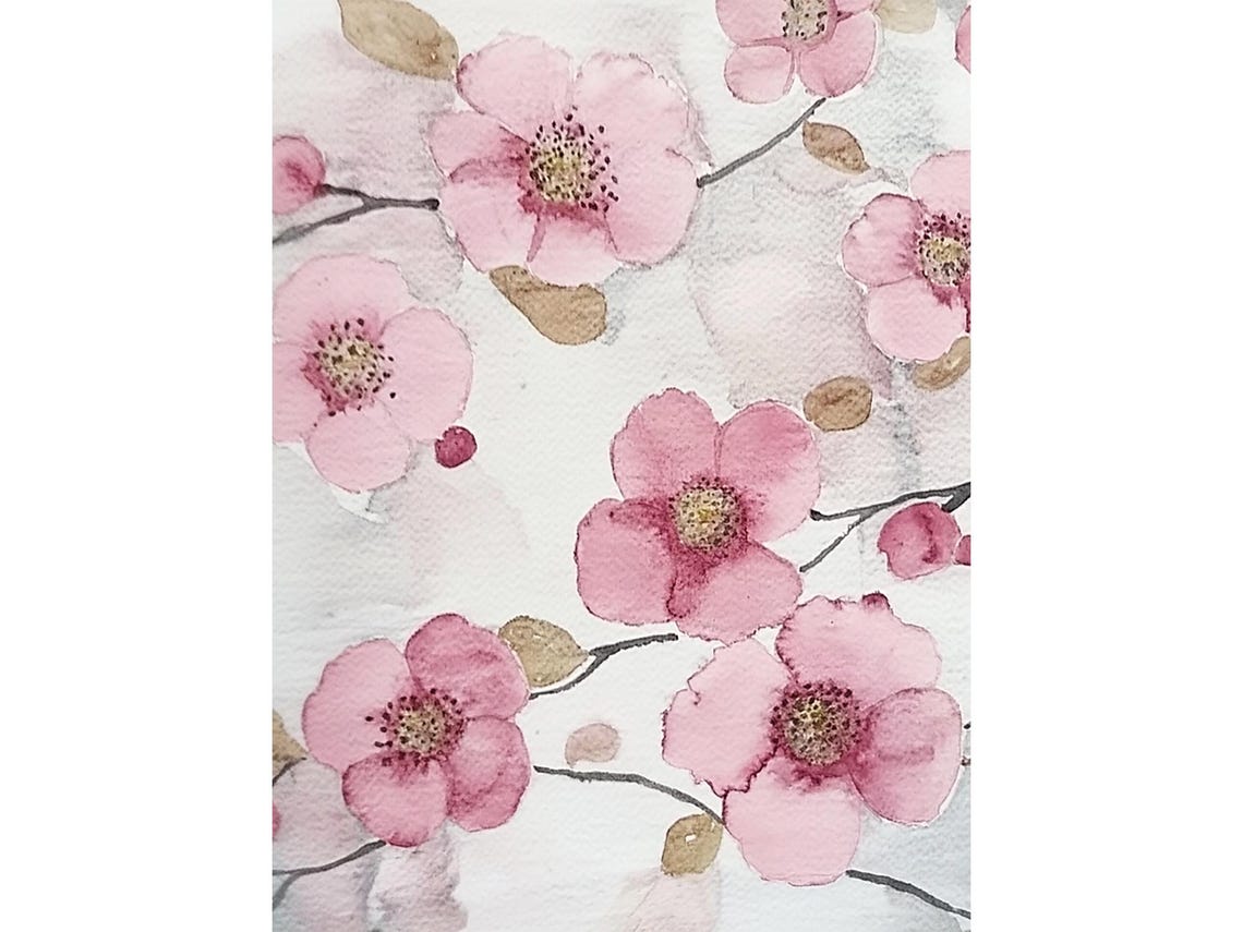 Pink Cherry Blossoms Sakura Branches Watercolor Spring Floral Poster