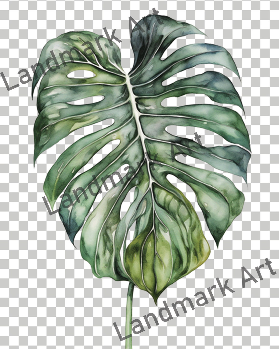 Monstera Deliciosa Leaf Watercolor Botanical Study Decor Poster - Image 4