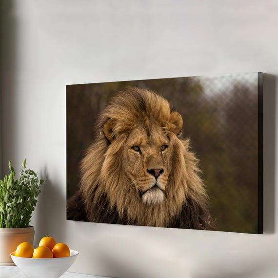Lion Decorative Canvas Painting Wall Decor Gift For Nature Enthusiasts Large Art Housewarming Gifts Animal