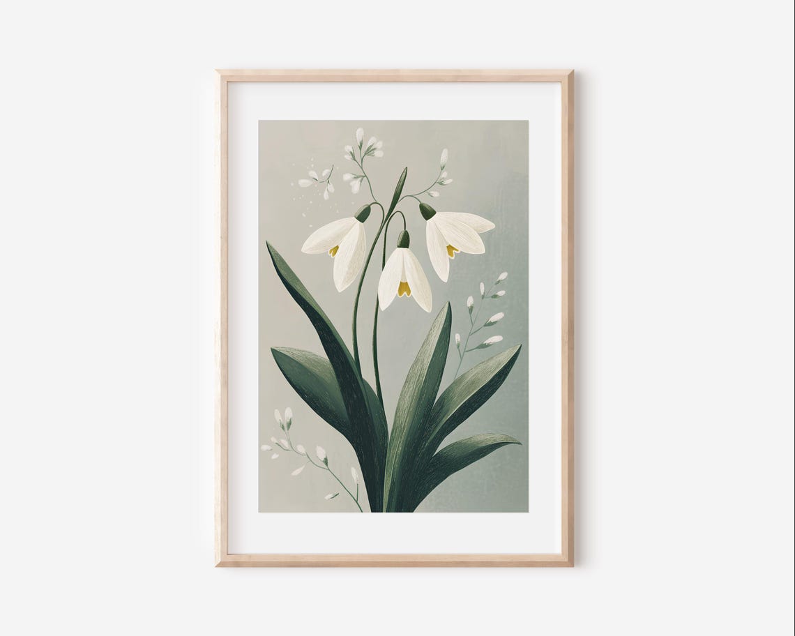 White Snowdrop Flowers Botanical Illustration Elegant Wall Art