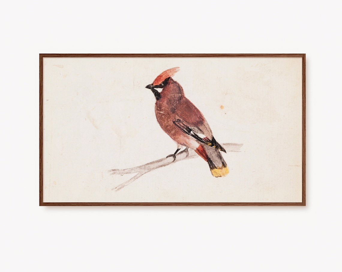Christmas Tv Art Christmas Frame Tv Art Vintage Waxwing Bird Painting Cute Christmas Art Xmas Nature Art Prints Holiday Tv Art