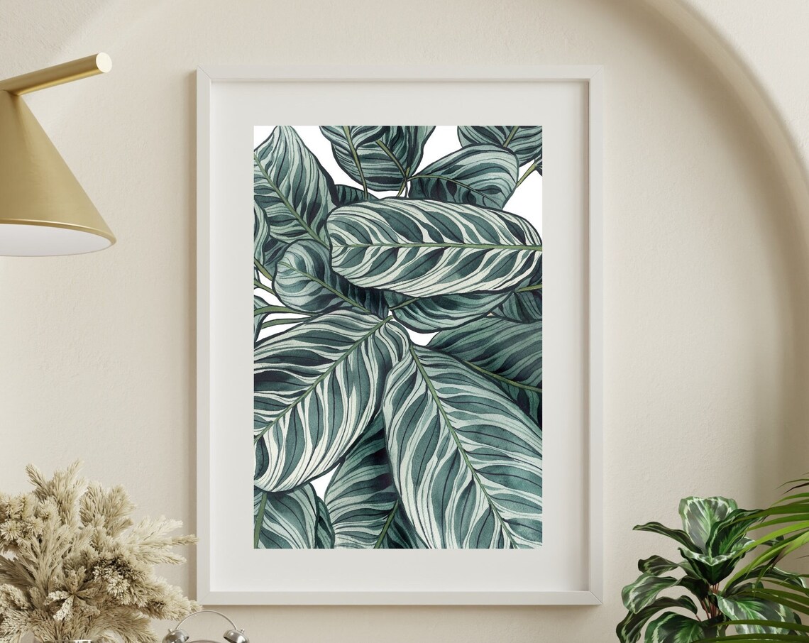 Calathea Striped Leaves Watercolor Botanical Illustration Poster