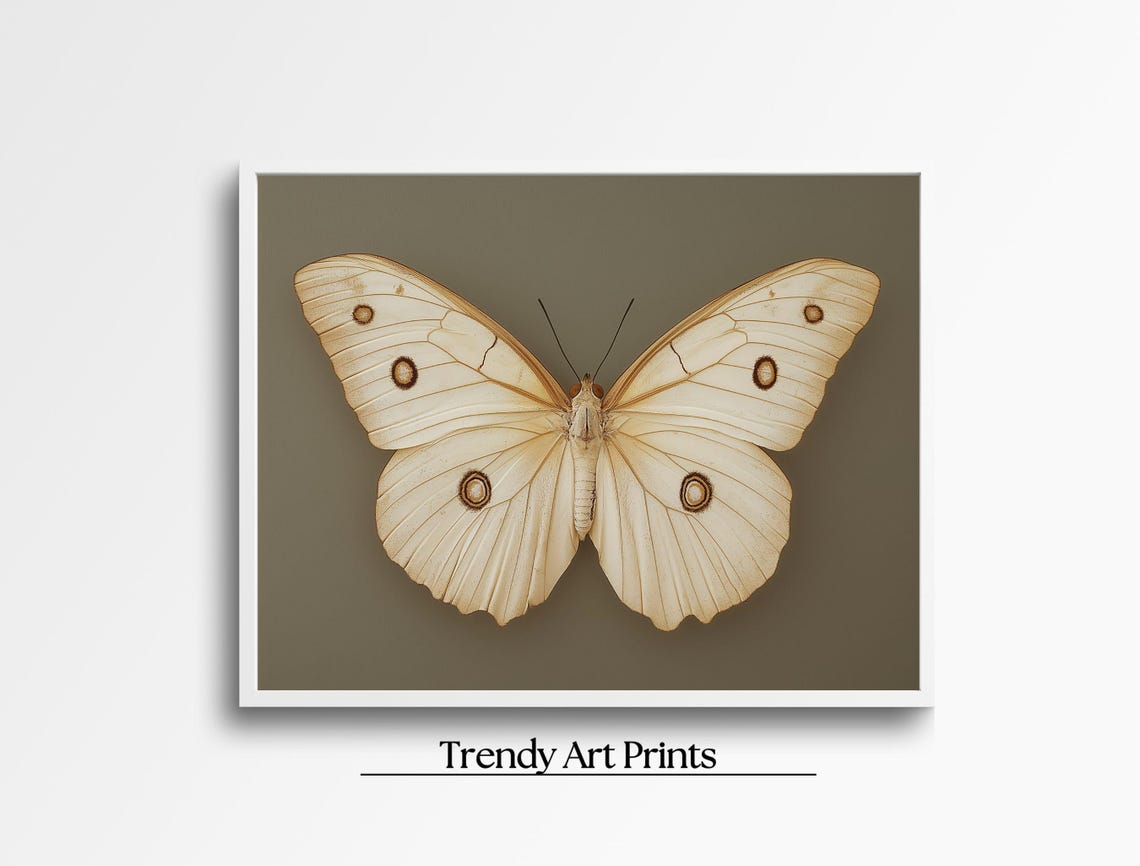 Vintage White Butterfly Specimen Dark Moody Insect Art Print - Image 7