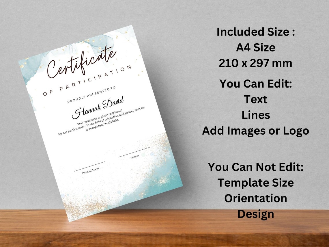 Editable Certificate Of Participation Canva Template Digital Print - Image 3