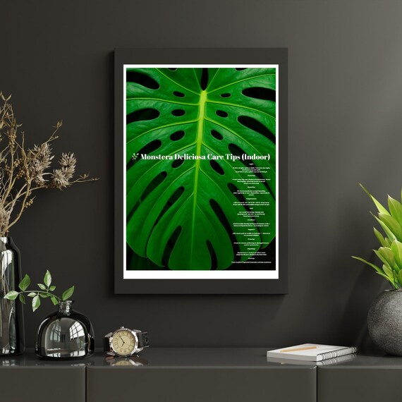 Monstera Deliciosa Indoor Plant Care Tips Botanical Chart Poster