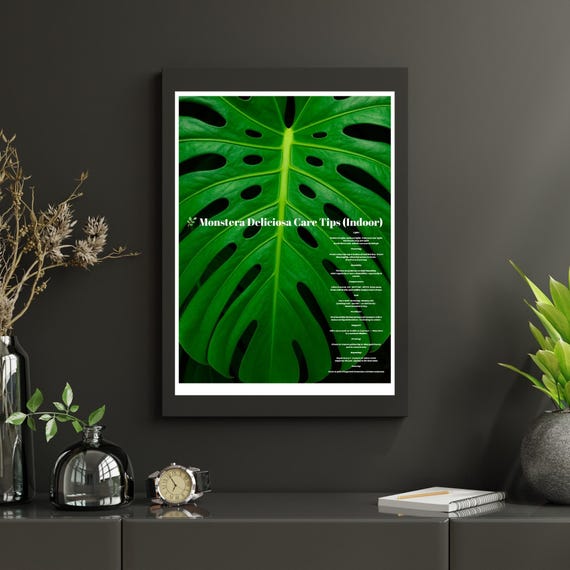 Office Botanical Print Monstera Leaf Care Guide Indoor Plant Lover Wall Art Tropical Green