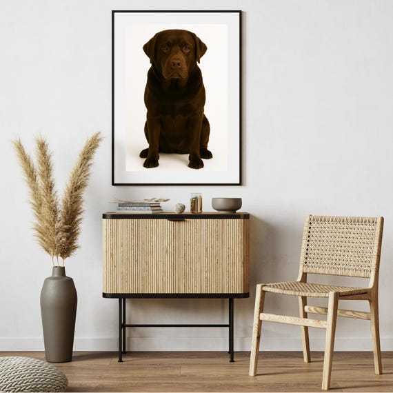 Labrador Retriever Portrait, Pet Poster