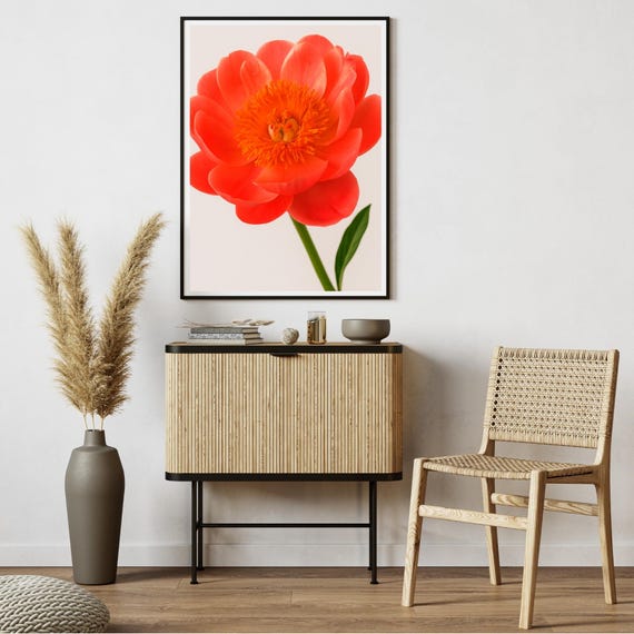 Coral Peony Wall Art Orange Flower Botanical Print Minimalist Floral Decor Vibrant Bloom Modern Nature